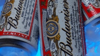 budweiser71.jpg