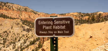 Reminder to Stay on Trail in Bryce near sensitive plant habitat of bristle cone pine trees