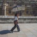 UK Heatwave: 22 June 2026  A pedestrian in Westminster shelters with an umbrella on hot sweltering day in London