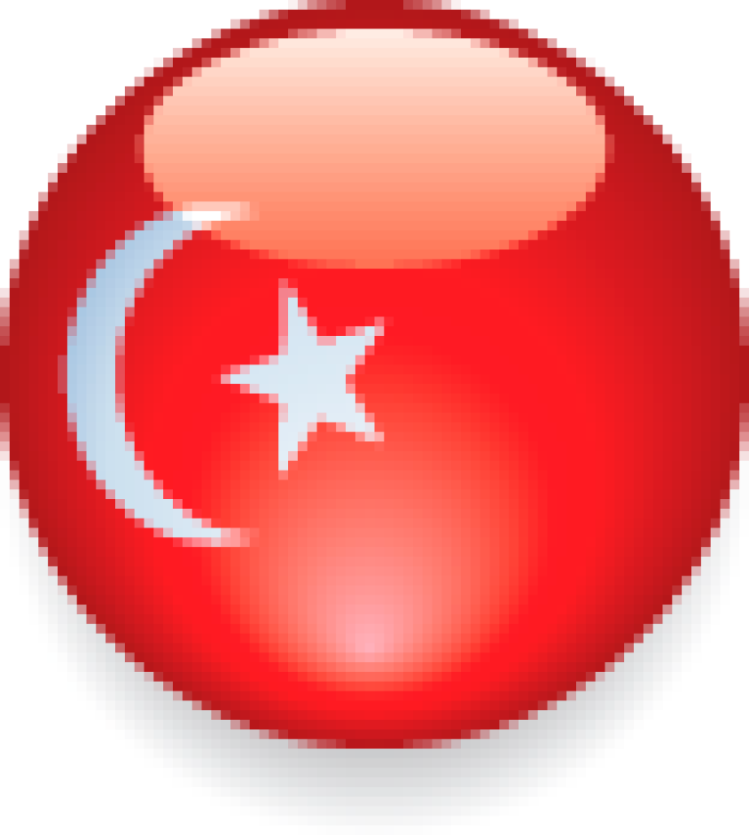 turkey-large.png