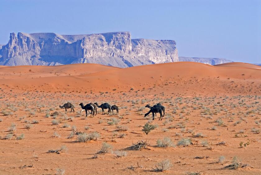 red sands,saudi arabia