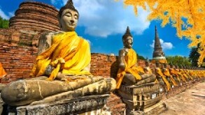 Thai_1_230px