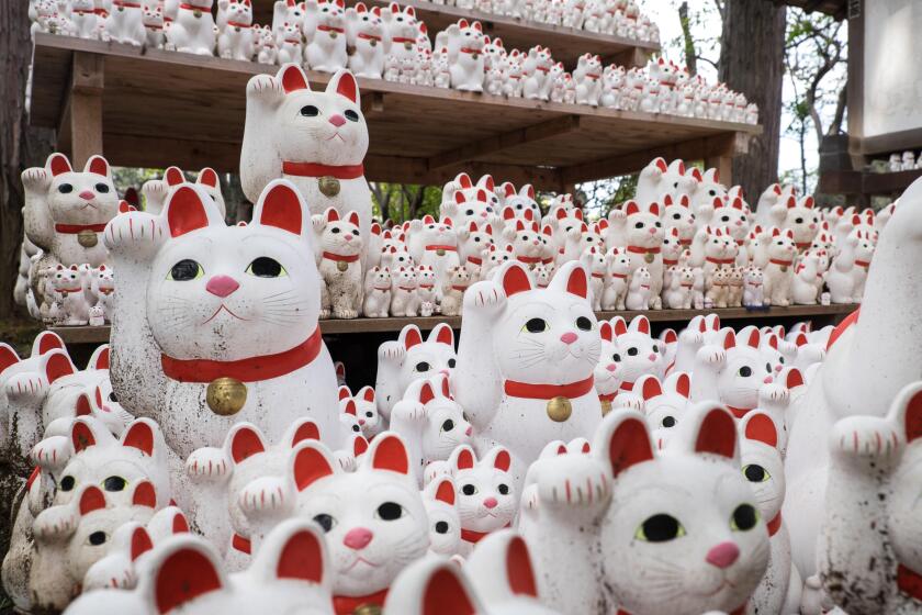 Japan, Tokyo, Honshu Island: Maneki neko at Gotoku-ji, a temple dedicated to the "maneki neko" lucky beckoning cats, in the district of Setagaya. A co