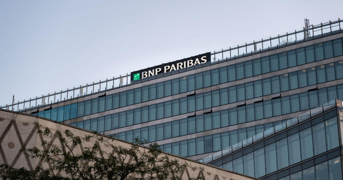 BNP Paribas satisfies investor hunger for national champion SNP paper