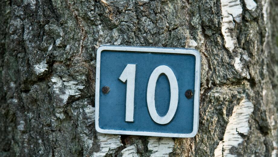 White number 10 on blue background attached to a tree