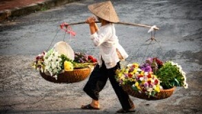 Vietnam_3_230px