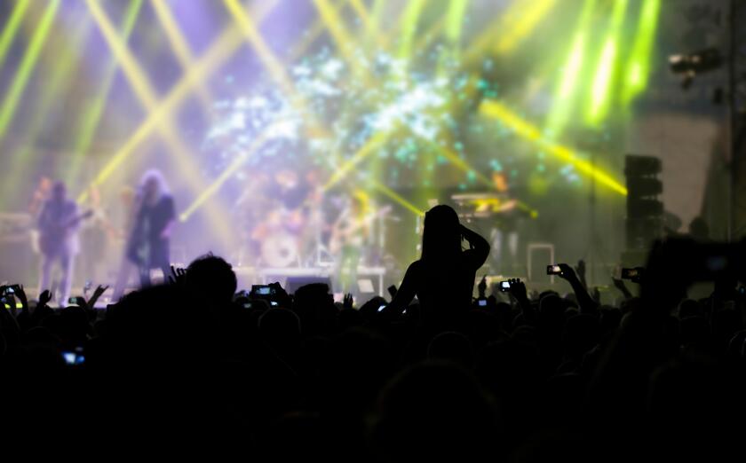 Cheering crowd at a concert