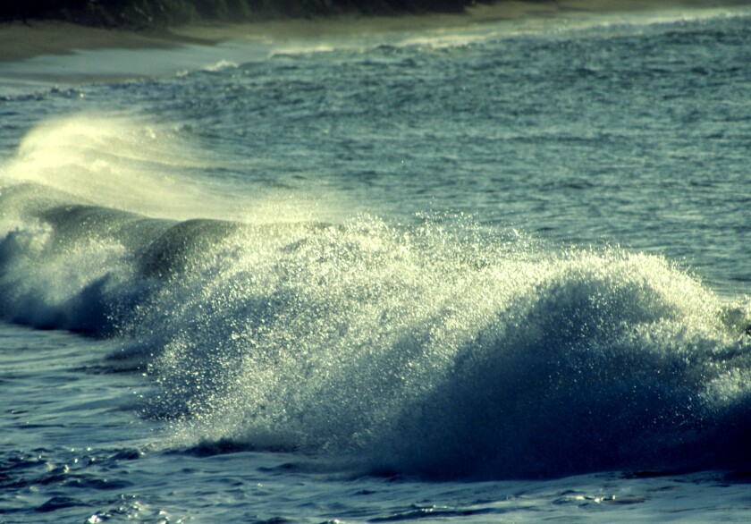 0171 Wave breaking Tobago, West Indies