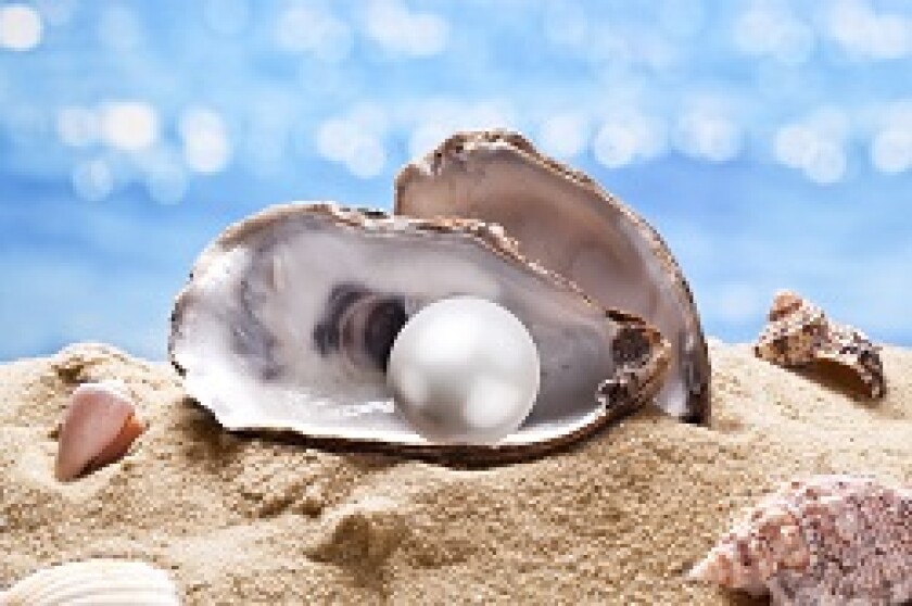 Pearl in shell.jpg