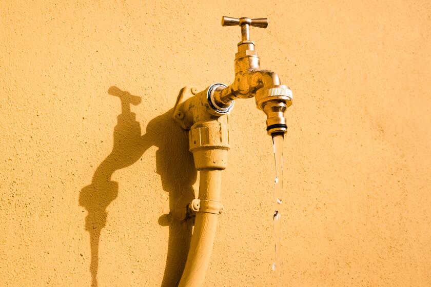 A wall tap on a wall in the sun from which fresh water drips.
