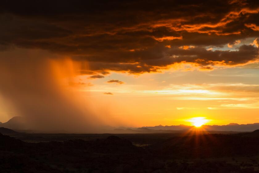 Rain approaching in the desert at sunset, Namibia