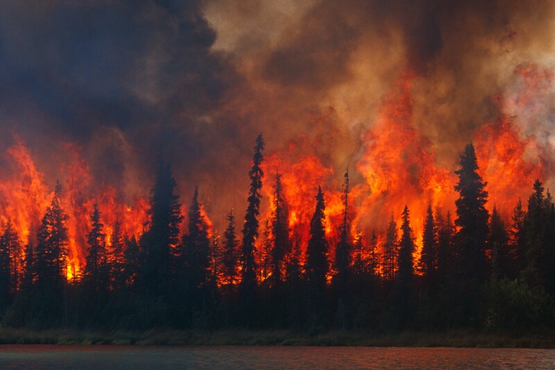 Blazing forest fire in Kenai Wildlife Refuge, Skilak Lake, Alaska, Summer.
