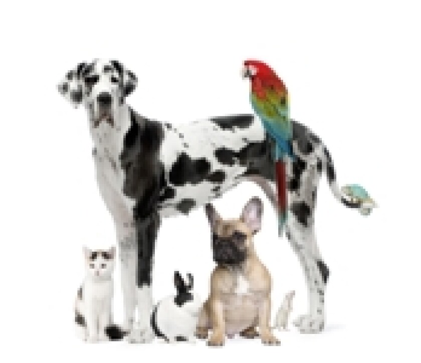 Animals 230x150