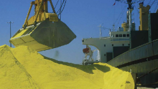 trafigura21.jpg