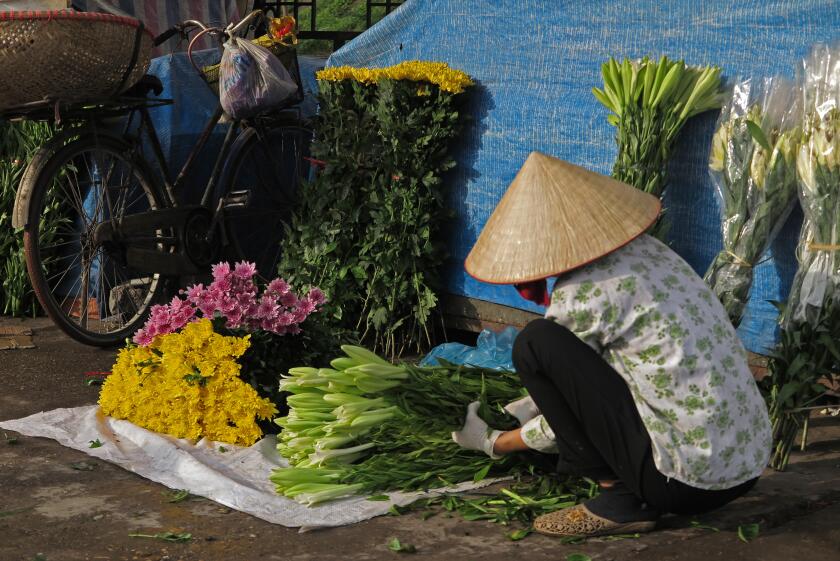 Early morning flower market scene at Hanoi Vietnam