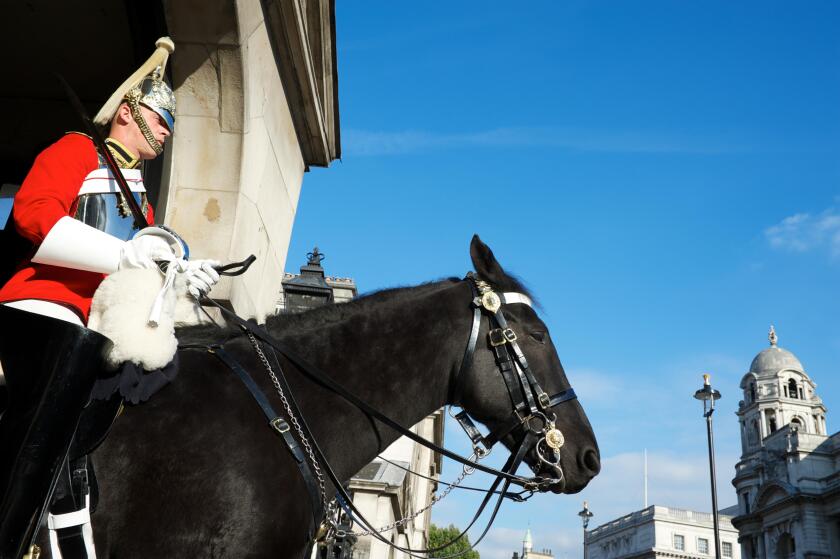 LONDON - JUNE 23, 2011: A mounted Life Guard of the Household Calvary sits on a black horse in Whitehall.