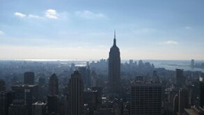 new york 230 px