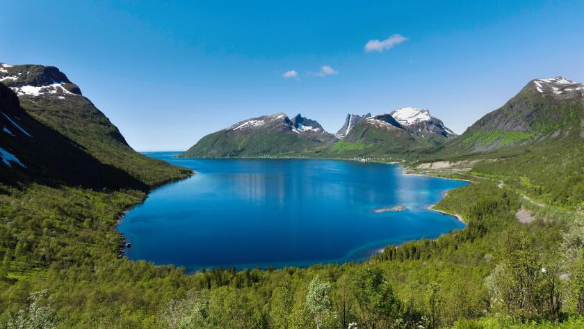 Mountain fjord, birch wood, blue, bay, fjord, sky, blue, scenery, landscape, deciduous forest, Norway, Europe, Senja, Scandinavia