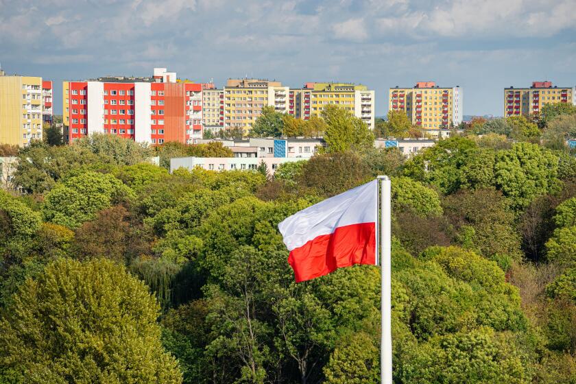 Polish state flag in the background of sunlit green trees in autumn. In the distance is a row of colorful new high-rise houses and a blue sky with clo