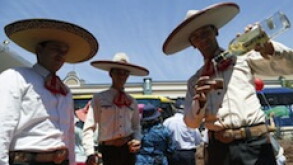 Jose Cuervo