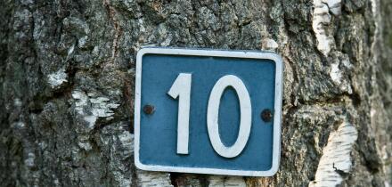 White number 10 on blue background attached to a tree