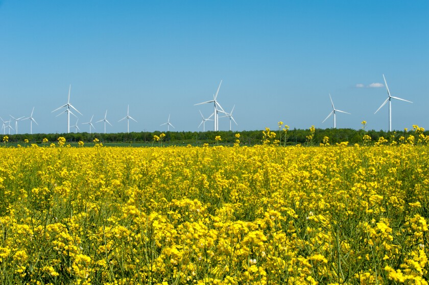 Eco farm of wind turbines close to rape field France Europe