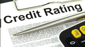 Credit Rating 230
