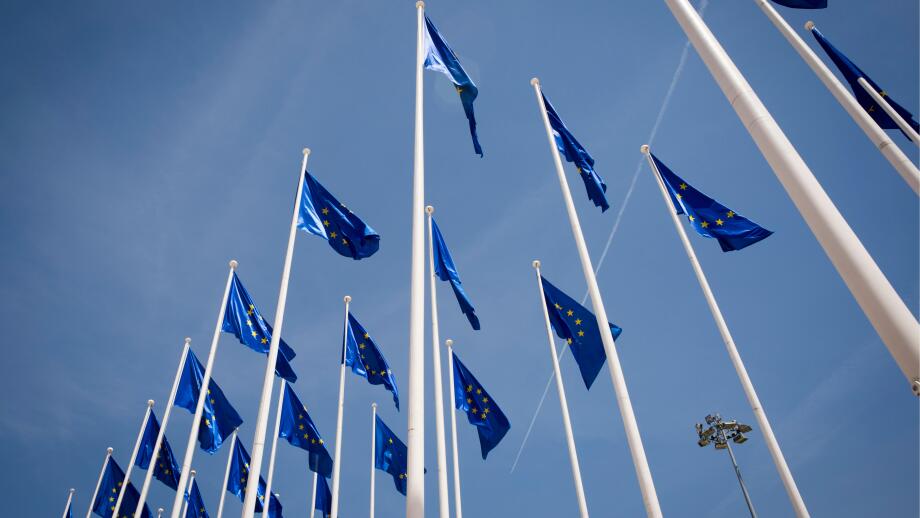 European Union flags flying