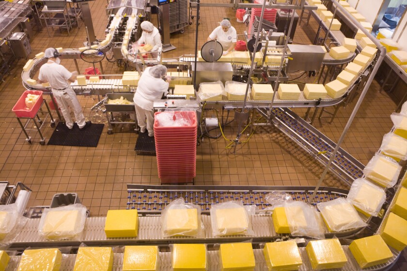 Women on the production line making cheddar cheese at Tillamook Cheese factory in Tillamook Oregon