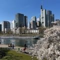 Frankfurt.png