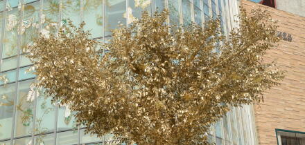 A giant golden tree decorates the outside of a shopping centre in Shanghai, China. 26th Nov, 2023. (Photo by ChinaImages/Sipa USA) Credit: Sipa US/Alamy Live News
