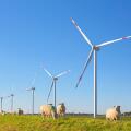Wind turbines at wind park / windfarm in Schleswig-Holstein, Germany