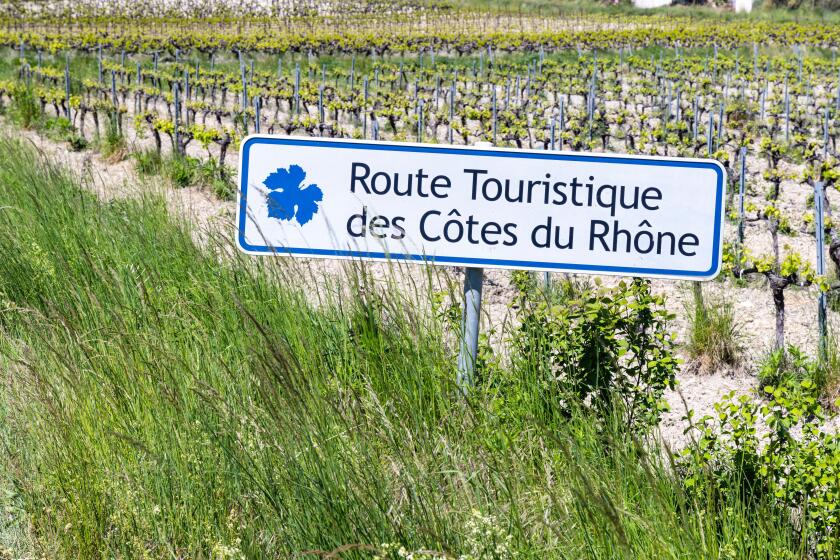 Typical vineyard with Wine road (Route Touristique des Cotes du Rhone) near Faucon, Cotes du Rhone, France
