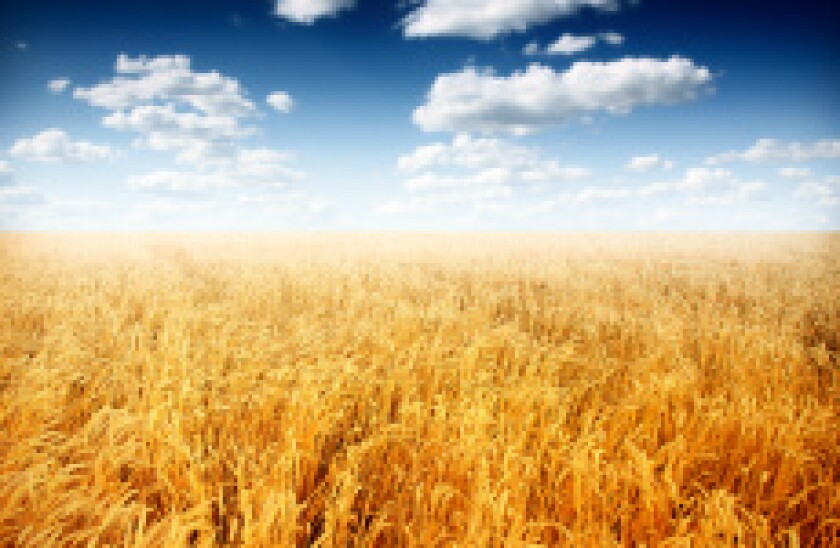 crops