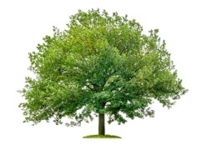 UniCredit green bonds