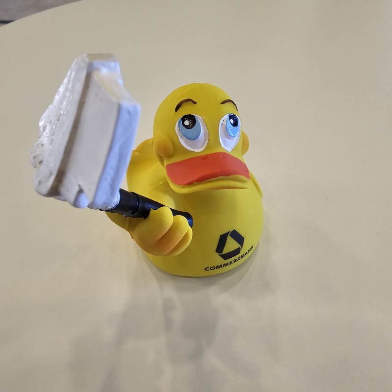 CMZ duck.jpg