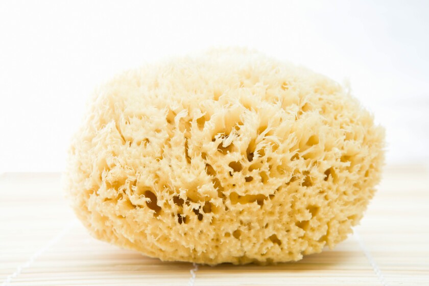 Close up of a bath sponge. Image shot 2009. Exact date unknown.