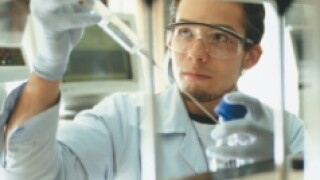 merck4.jpg
