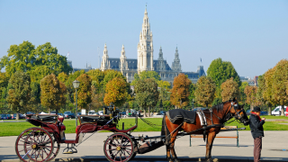 Vienna.png