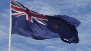 nz20flag20200.jpg
