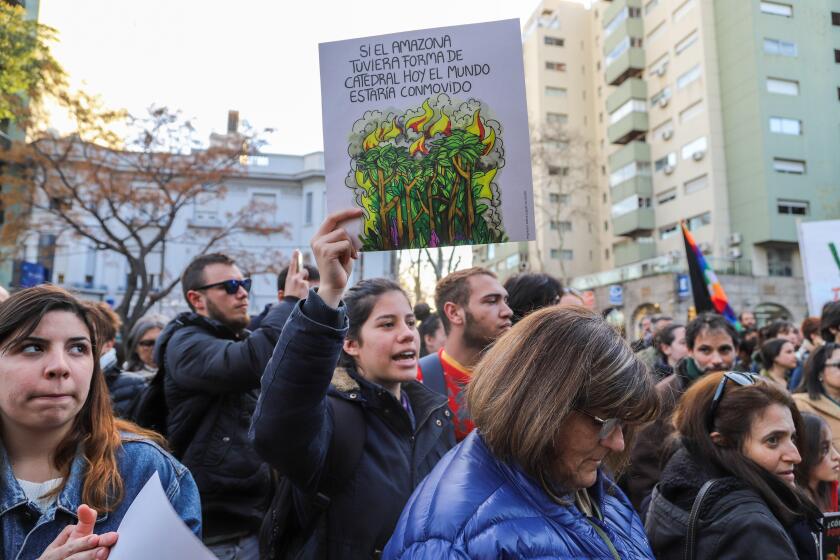 Montevideo, Uruguay. 23rd Aug, 2019. A protester holds a placard in front of the Brazilian embassy in Montevideo during the demonstration against fires in the Amazon. Credit: SOPA Images Limited/Alamy Live News
