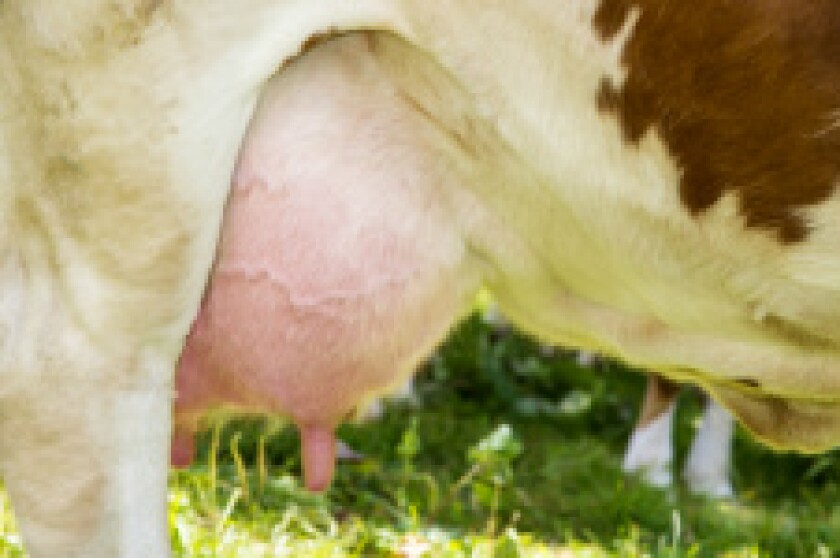 Udders px230