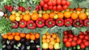 Food 230x150