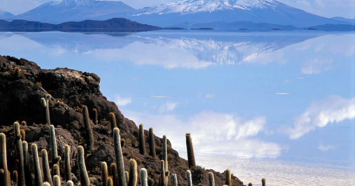 Bolivia caps turnaround with fresh IMF deal