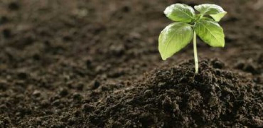 Fertilizer