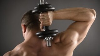 Muscle_230px