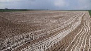 fertiliser 230-150x