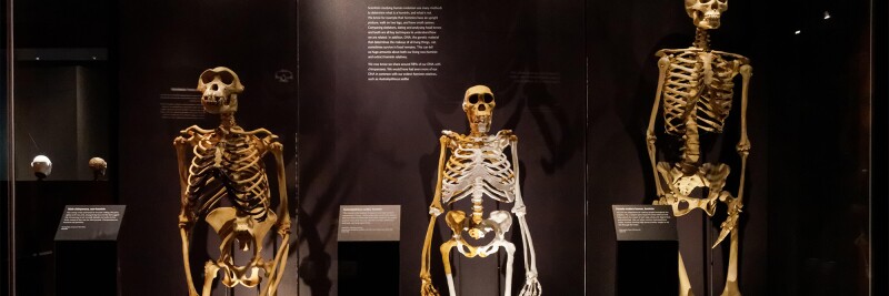 evolutionF9TC06.jpg