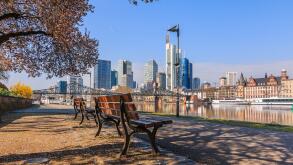 Skyline with skyscrapers of Frankfurt. Financial district with commercial buildings on the day with sunshine. Main riverbank in spring with tree and b
