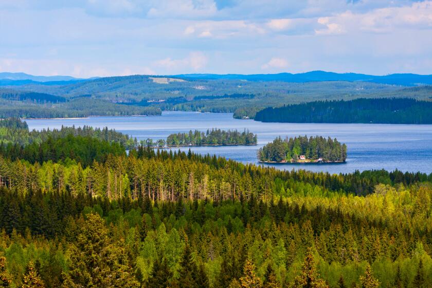 green forest hires 575
